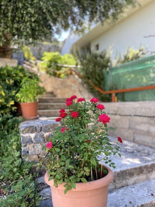 Villa Kamari-Cretan style apartment Kritsa Bagian luar foto